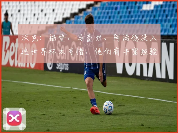沃克：福登、马奎尔、阿诺德没入选世界杯太可惜，他们有丰富经验