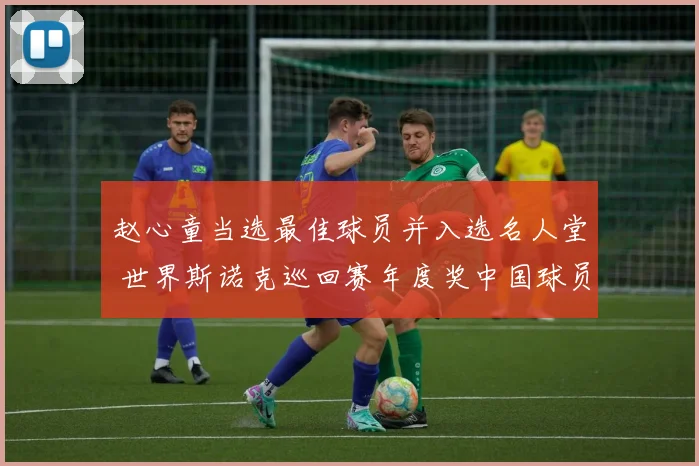 赵心童当选最佳球员并入选名人堂 世界斯诺克巡回赛年度奖中国球员“丰收”