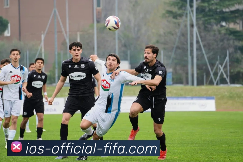 世界杯官方客户端服务体系